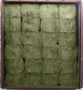 Alfalfa Hay