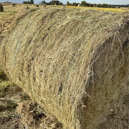 Mixed Hay