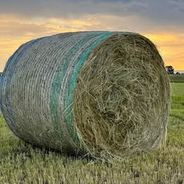 Mixed Hay